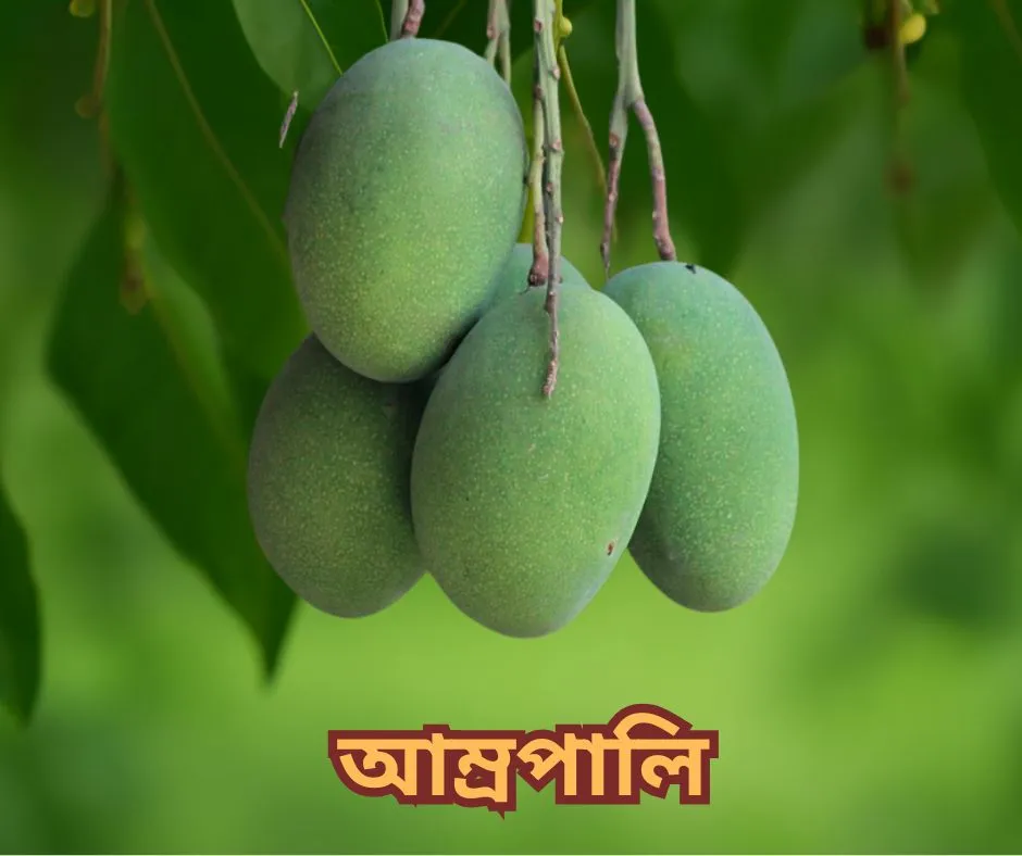 amrupali